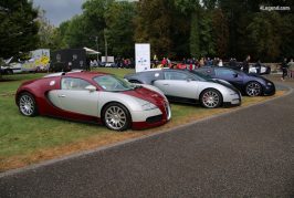 Bugatti, Lamborghini, Porsche : pourquoi elles plaisent tant aux sportifs